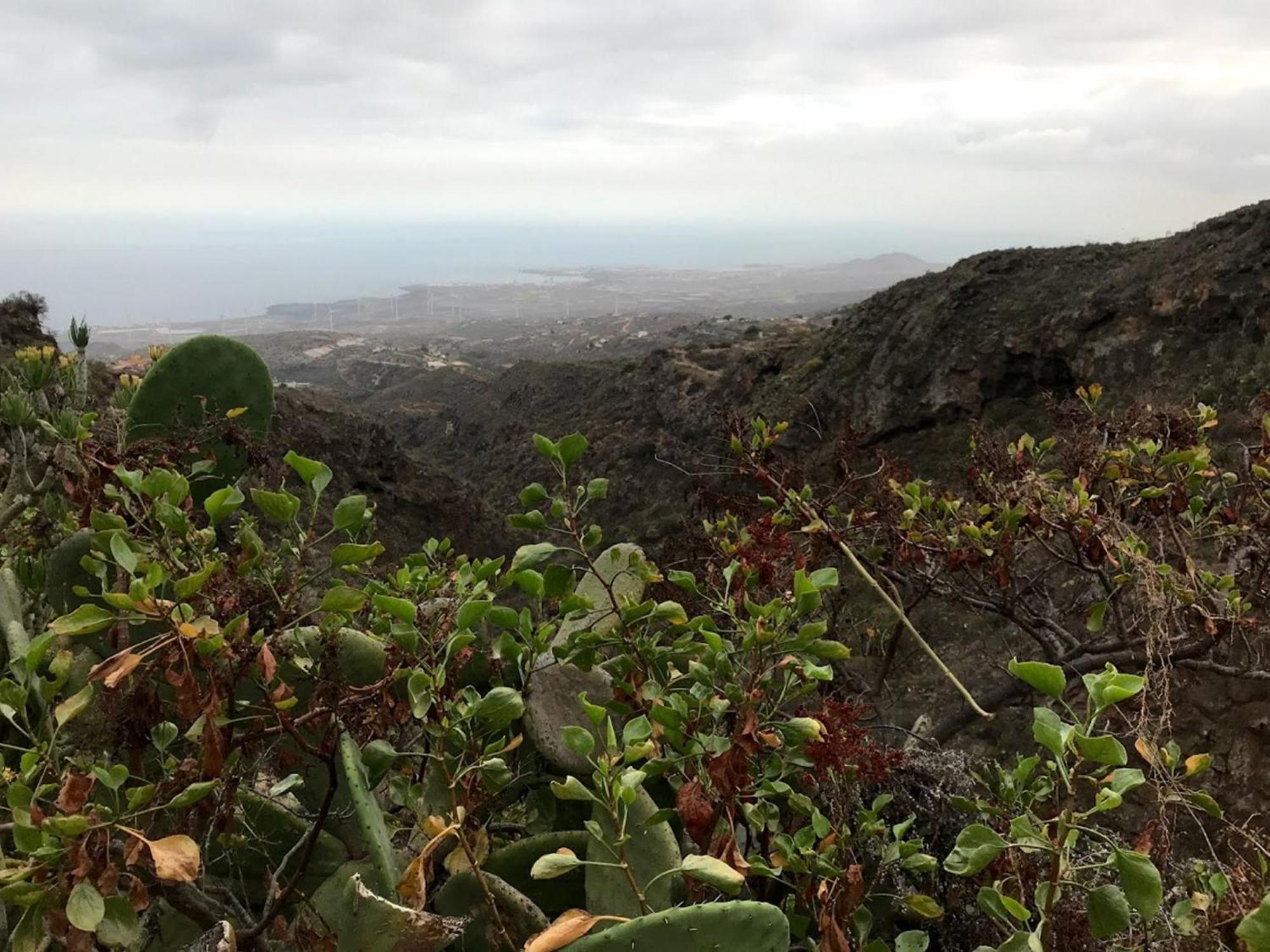 Ferienhaus Polinarias Casa Cueva En Fasnia Santa Cruz de Tenerife