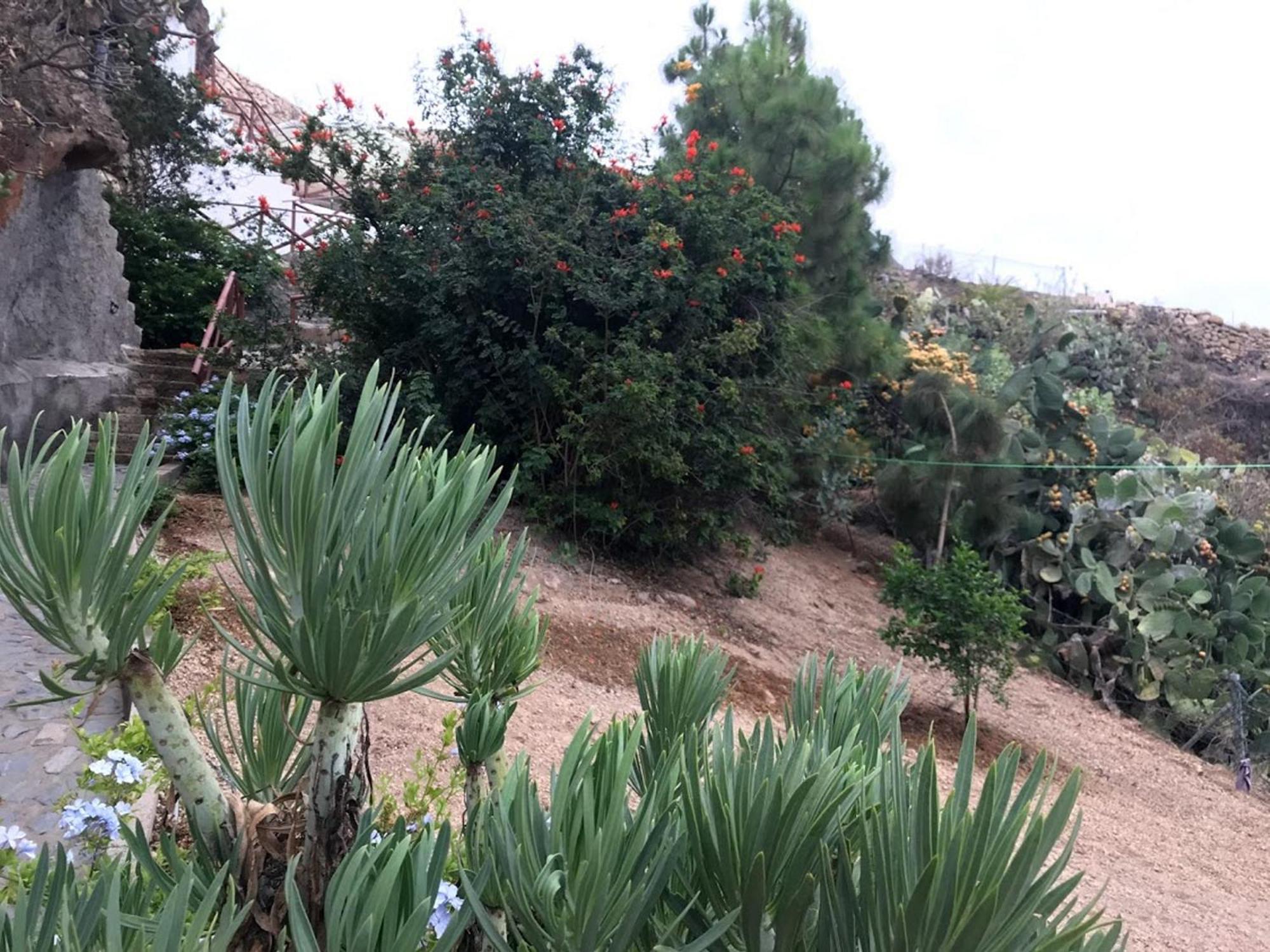 Ferienhaus Polinarias Casa Cueva En Fasnia
